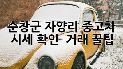 순창군 자양리 중고차 시세 확인 & 거래 꿀팁!
